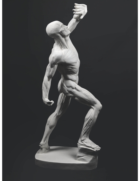 El  écorché combatiente por Jacques-Eugene Caudron