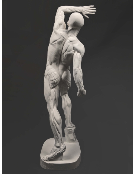 El  écorché combatiente por Jacques-Eugene Caudron