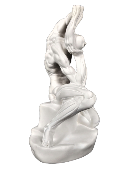 Écorché accroupi par Pierre Puget (anciennement attribué à Michel Ange)