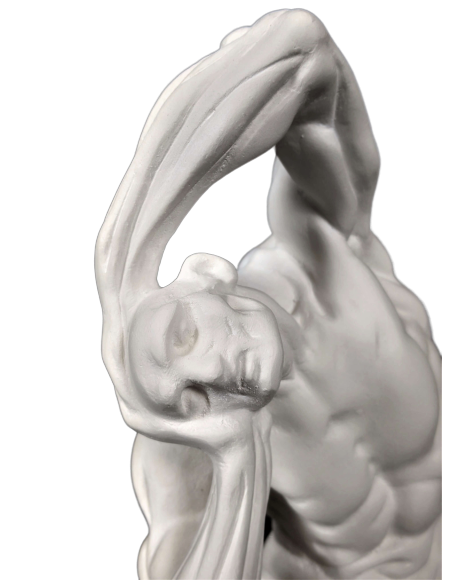 Écorché  by Pierre Puget (formerly attributed to Michelangelo)