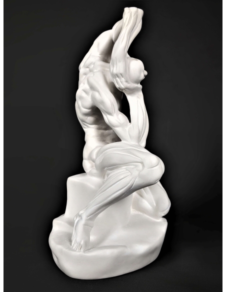 Écorché  by Pierre Puget (formerly attributed to Michelangelo)