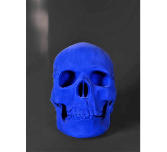 Cráneo moldeado a partir de un auténtico cráneo humano