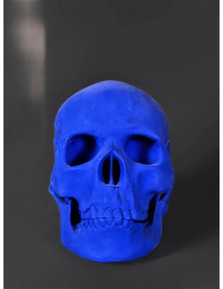 Skull moulded from an authentic human skull