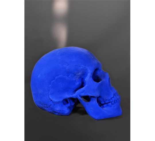 Skull moulded from an authentic human skull