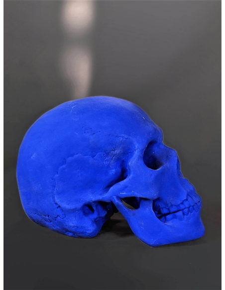 Skull moulded from an authentic human skull