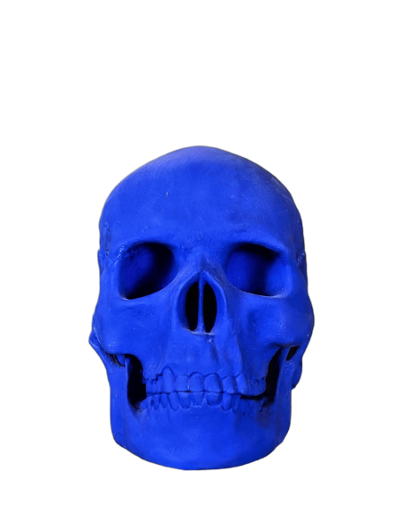 Skull moulded from an authentic human skull