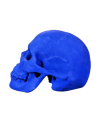 Skull moulded from an authentic human skull