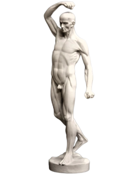 L'écorché marchant por Jean-Antoine Houdon