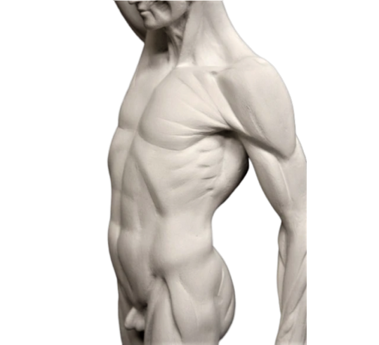 L'écorché marchant by Jean-Antoine Houdon