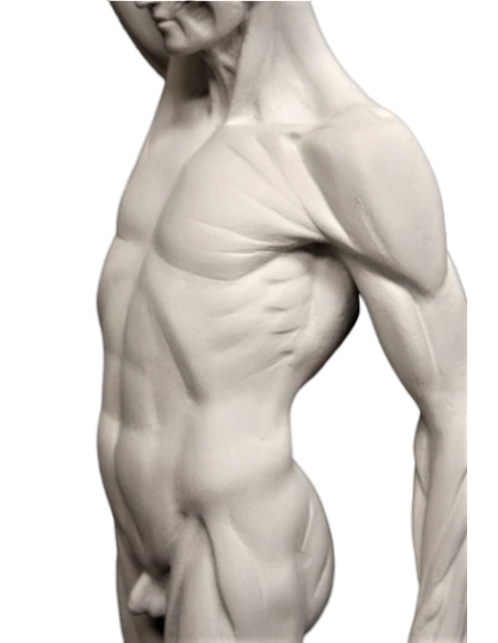 L'écorché marchant por Jean-Antoine Houdon