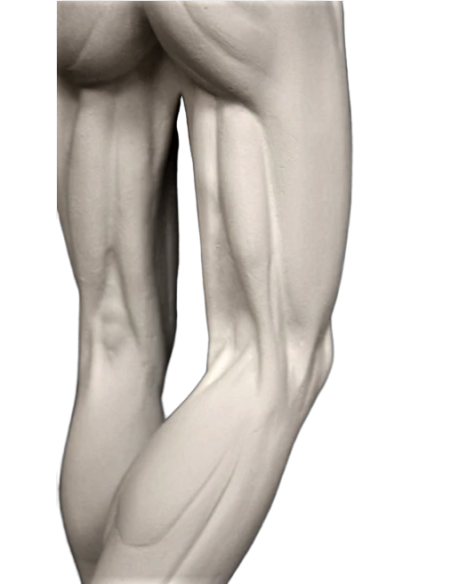 L'écorché marchant por Jean-Antoine Houdon