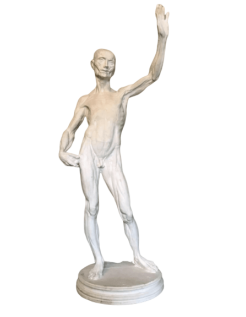 L'écorché by Riccardi