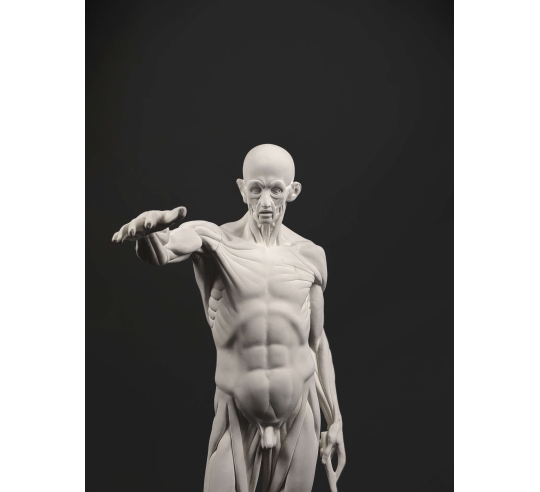 L'Écorché, bras droit tendu devant por Jean-Antoine Houdon