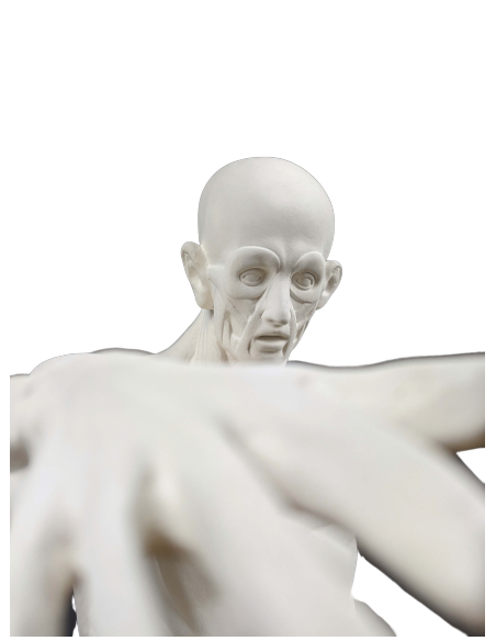 L'Écorché, bras droit tendu devant por Jean-Antoine Houdon