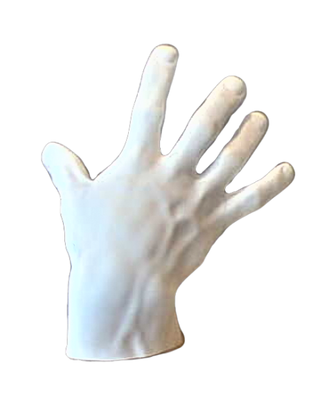 Study of the right hand from an antique statue