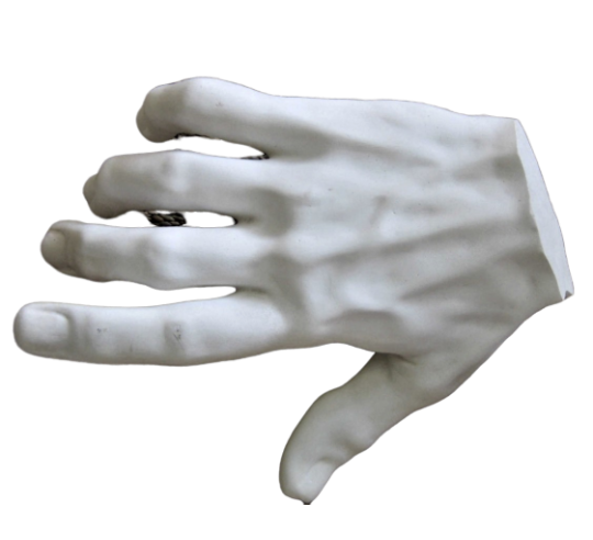 Study of the right hand from an antique statue