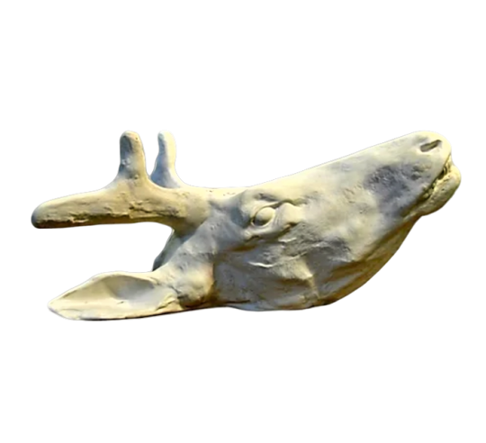 Deer head moulded from an original