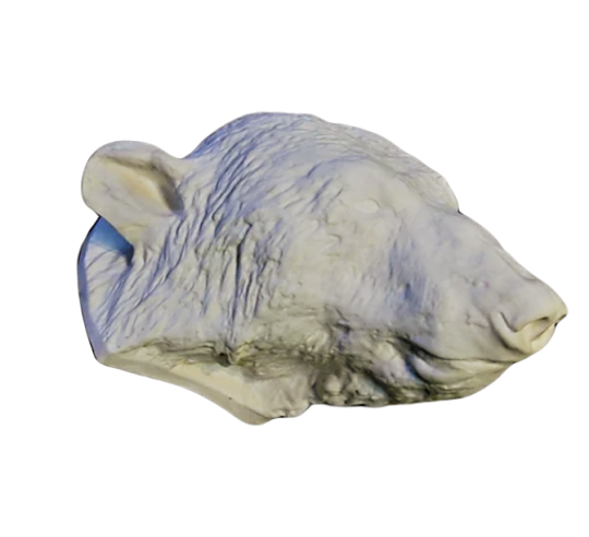 Bear head moulded from an original