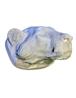 Tête de tigre moulée à partir d'un original