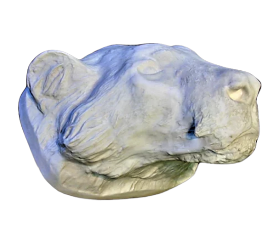 Tiger head moulded from an original