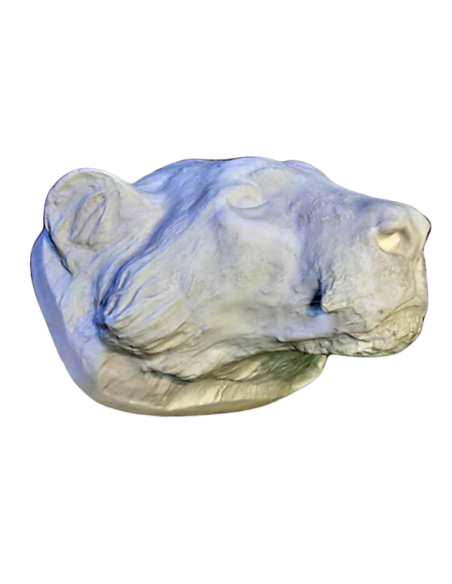 Cabeza de tigre moldeada a partir de un original