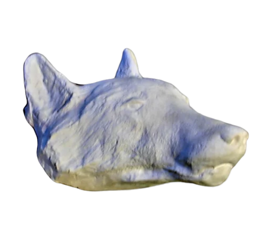 Cabeza de lobo moldeada a partir de un original