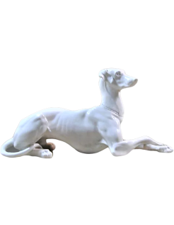 Elegante galgo acostado con las patas cruzadas de lado izquierdo