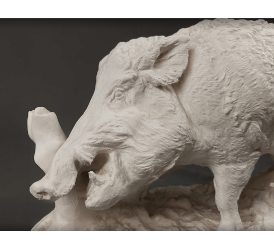 Sanglier par Pierre-Jules Mêne