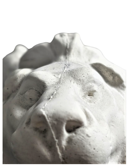 Lion rugissant par Antoine-Louis Barye