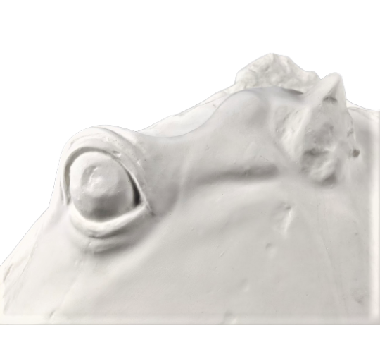 Cabeza del caballo de Selene - detalle del Partenón