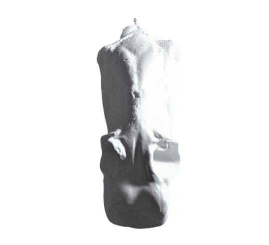 Cabeza del caballo de Selene - detalle del Partenón