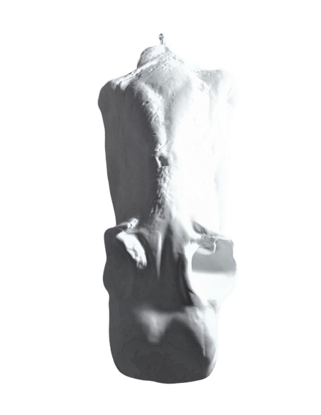 Tête du cheval de Séléné - détail du Parthénon