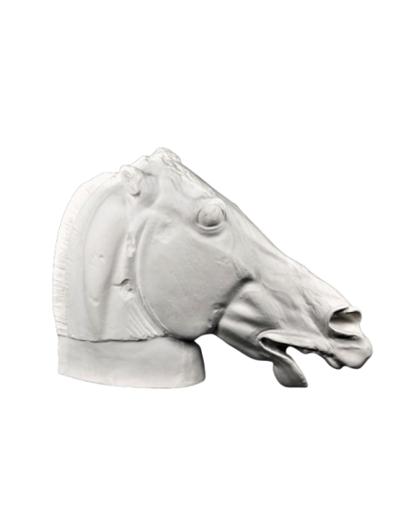Head of Selene's horse - detail of the Parthenon