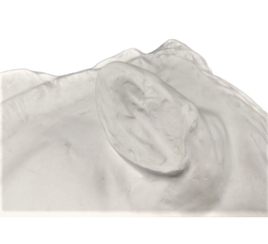 Cabeza del caballo de Selene - detalle del Partenón