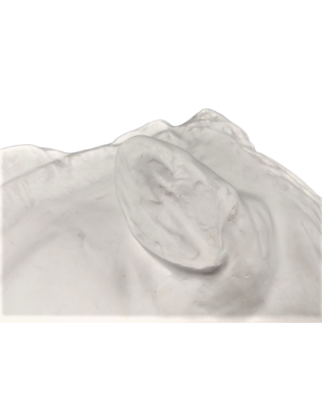 Tête du cheval de Séléné - détail du Parthénon