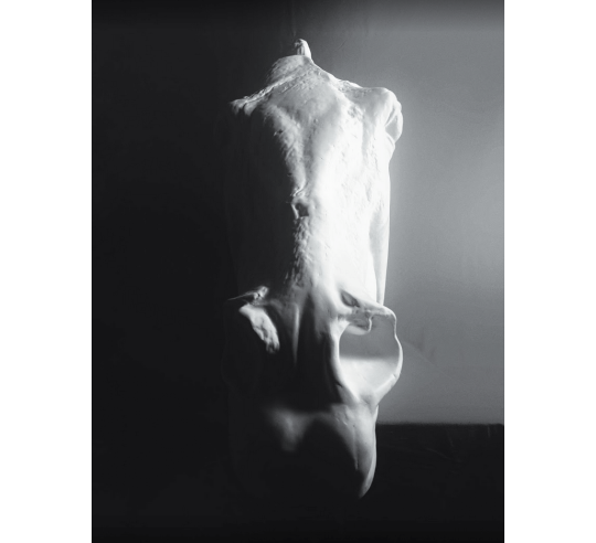 Cabeza del caballo de Selene - detalle del Partenón