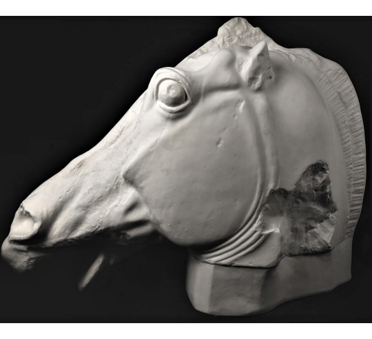 Cabeza del caballo de Selene - detalle del Partenón