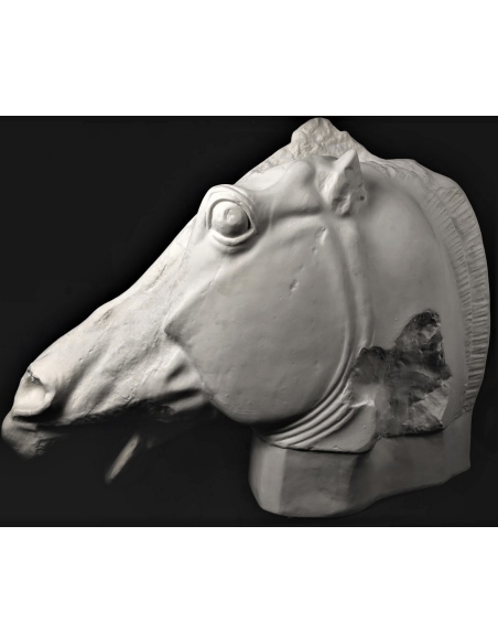 Cabeza del caballo de Selene - detalle del Partenón