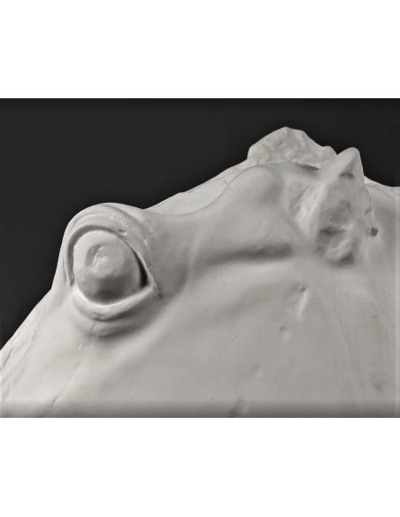 Cabeza del caballo de Selene - detalle del Partenón