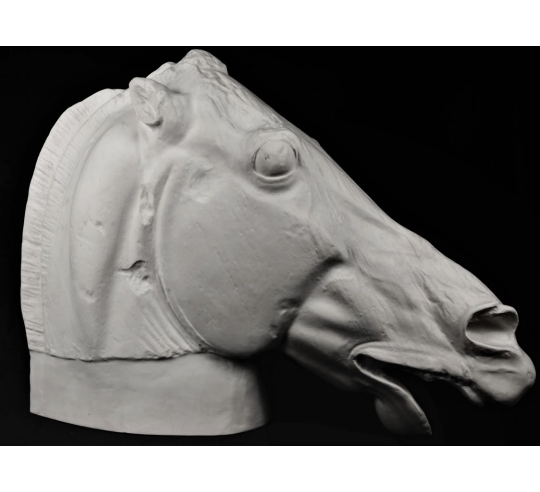 Tête du cheval de Séléné - détail du Parthénon