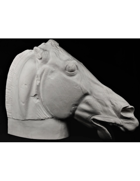 Cabeza del caballo de Selene - detalle del Partenón