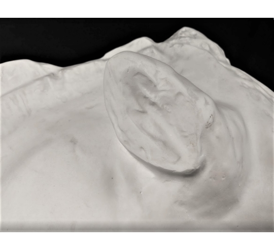 Cabeza del caballo de Selene - detalle del Partenón