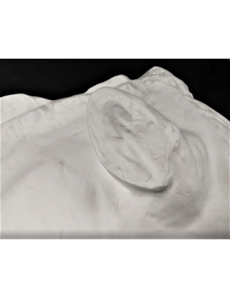 Tête du cheval de Séléné - détail du Parthénon