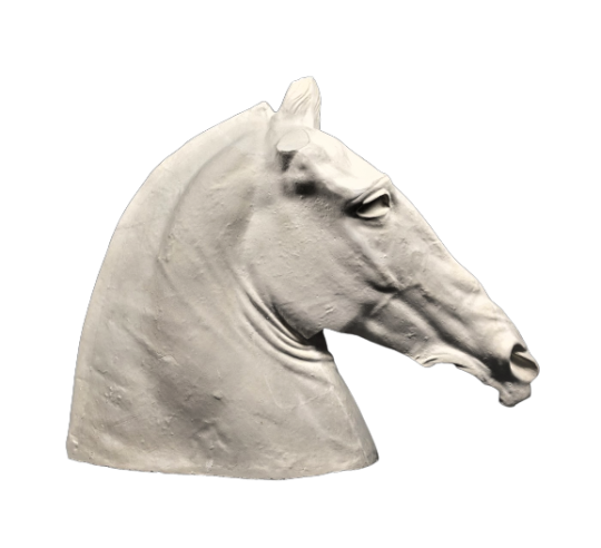 Cabeza de caballo antigua