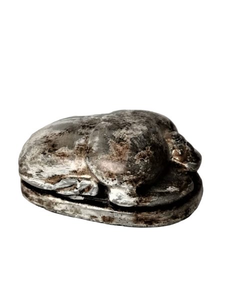 Scarabée Égyptien Scarabée Égyptien