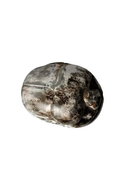 Scarabée Égyptien Scarabée Égyptien