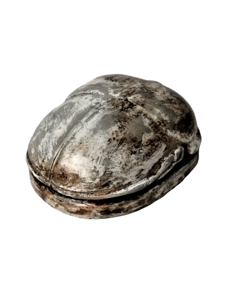 Scarabée Égyptien Scarabée Égyptien