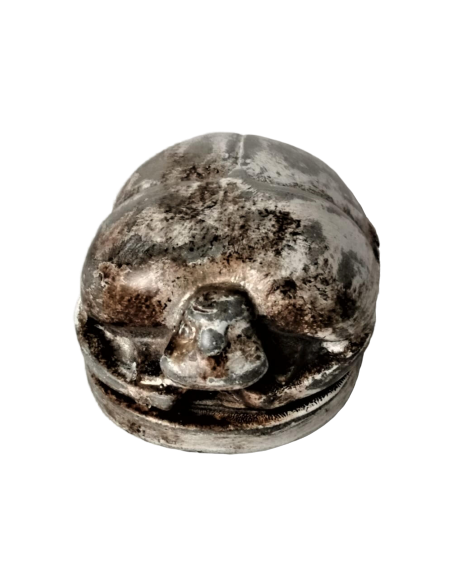 Scarabée Égyptien Scarabée Égyptien