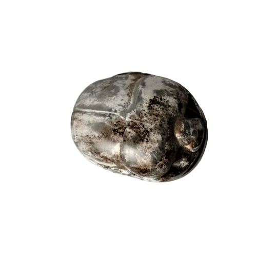 Escarabajo Egipcio