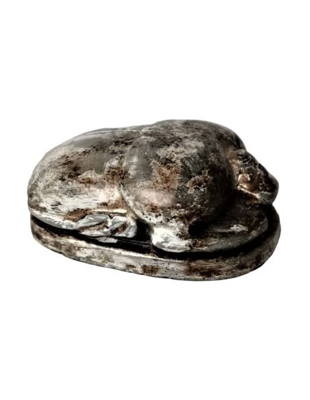 Scarabée Égyptien Scarabée Égyptien
